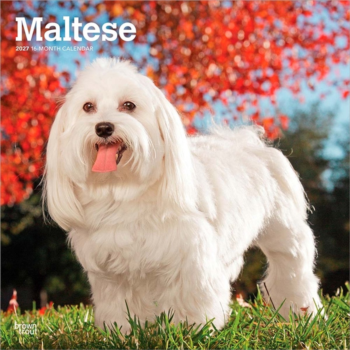 Maltezer Kalender 2027