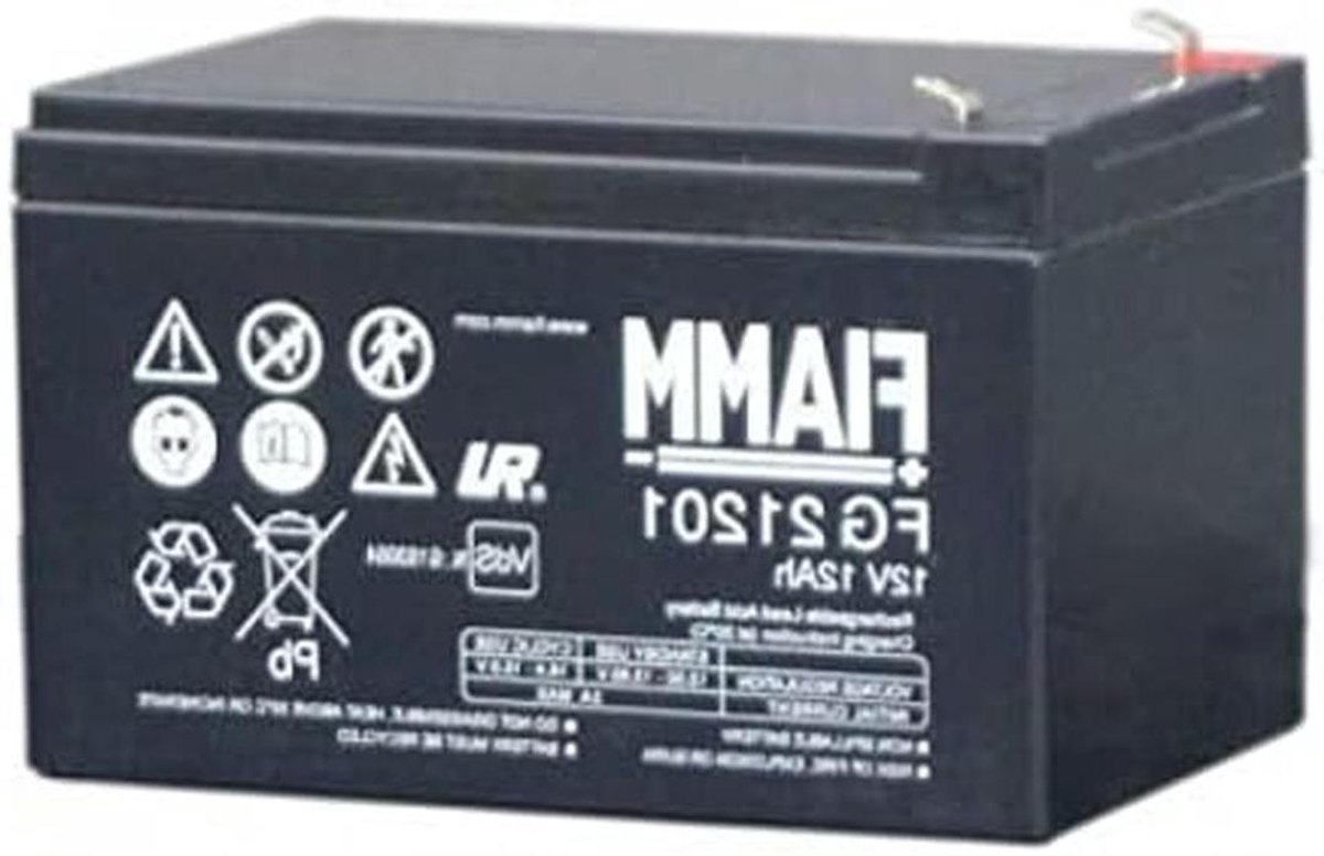 Oplaadbare Loodaccu - 12 Volt Batterij - Energie Opslag - Loodzuur Samenstelling - 9.5x15x10 cm