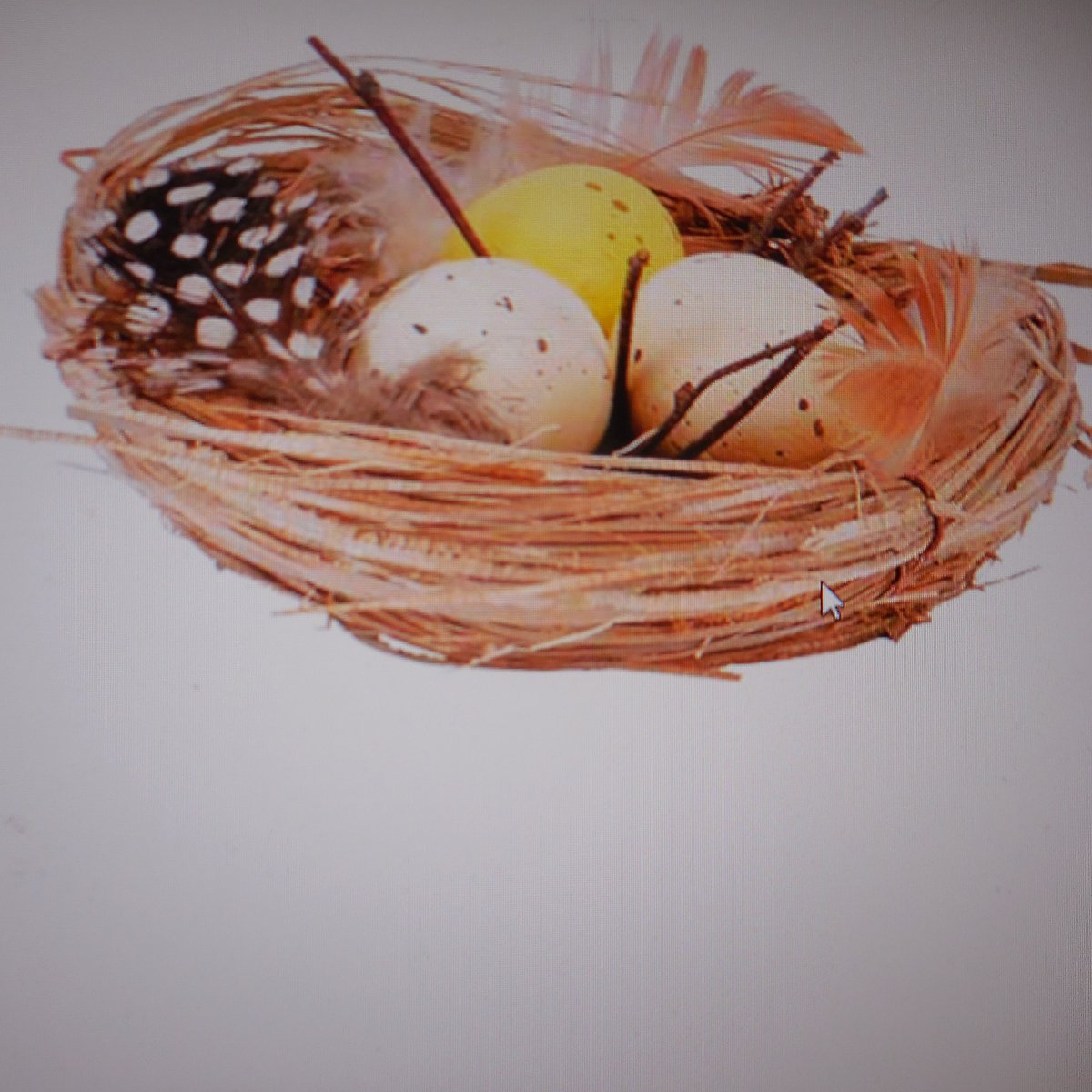 NEST 3 EGGS NATUUR 10X10XH3,5CM - SET VAN 4