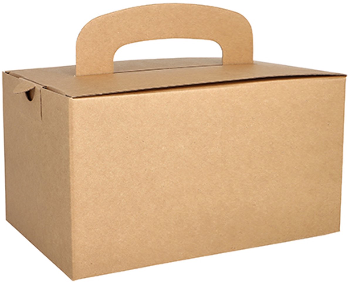 5x 20 Lunch boxen karton pure hoekig 125 cm x 155 cm x 225 cm bruin met handvaten