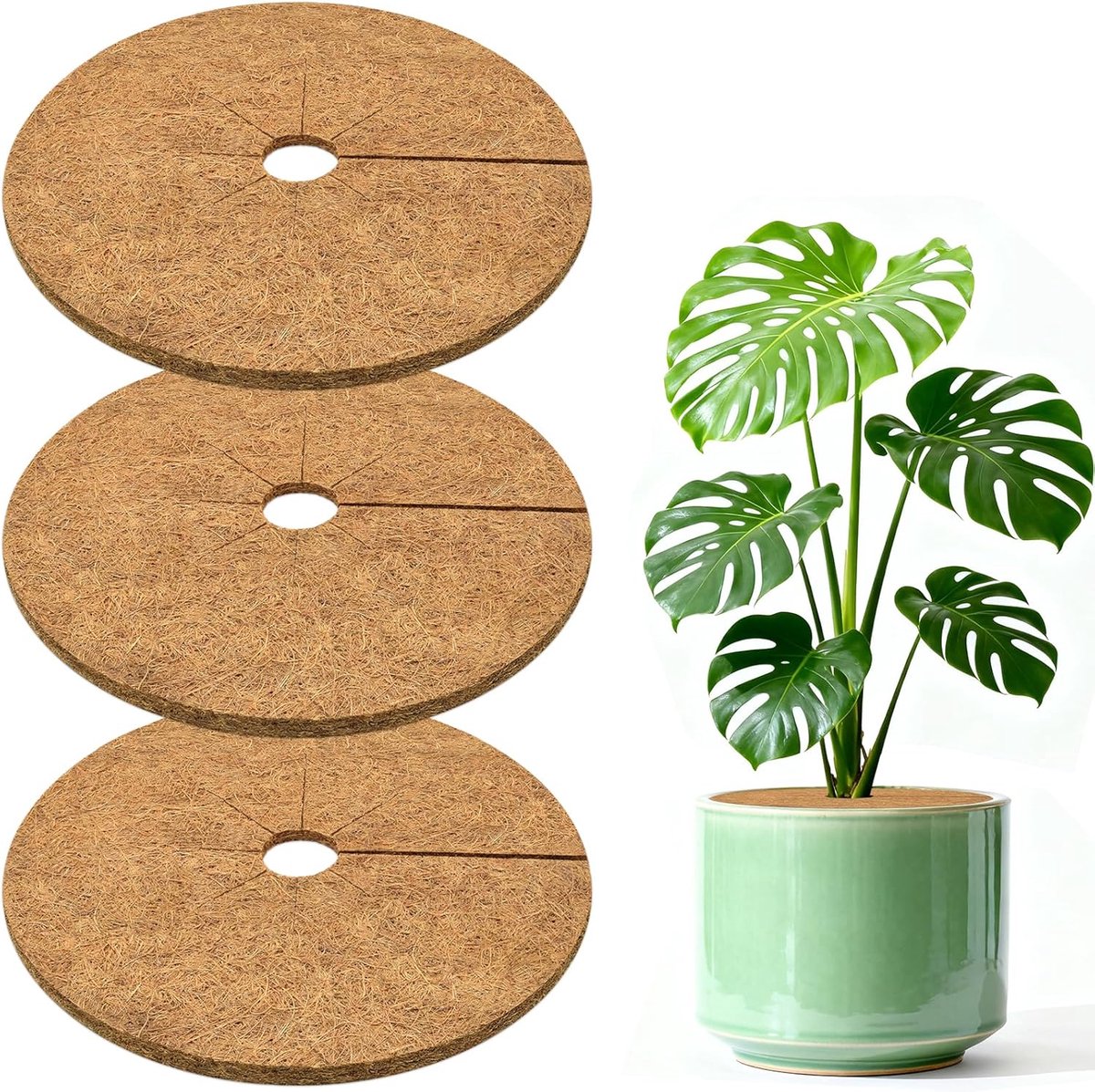 3-stuks Kokosvezel beschermring - kokosschijf - plantenbeschermingspad - onkruidbestrijdingspad - kokosvezel - vochtregulerend - esthetisch aantrekkelijk - 30*30*1 cm - geschikt voor binnen- en buitenbomen, planten, bloemen, enz. - bruin