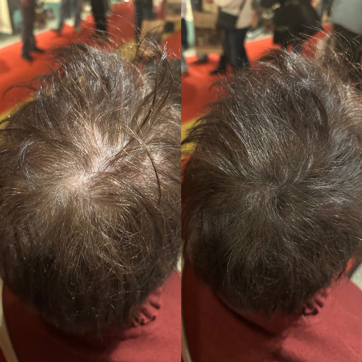 BelleLux - Uitgroei Poeder Chocoladebruin – Haarmascara & Uitgroei Spray Alternatief – Grijze Uitgroei Verbergen – Waterproof – Dun Haar & Kale Plekken