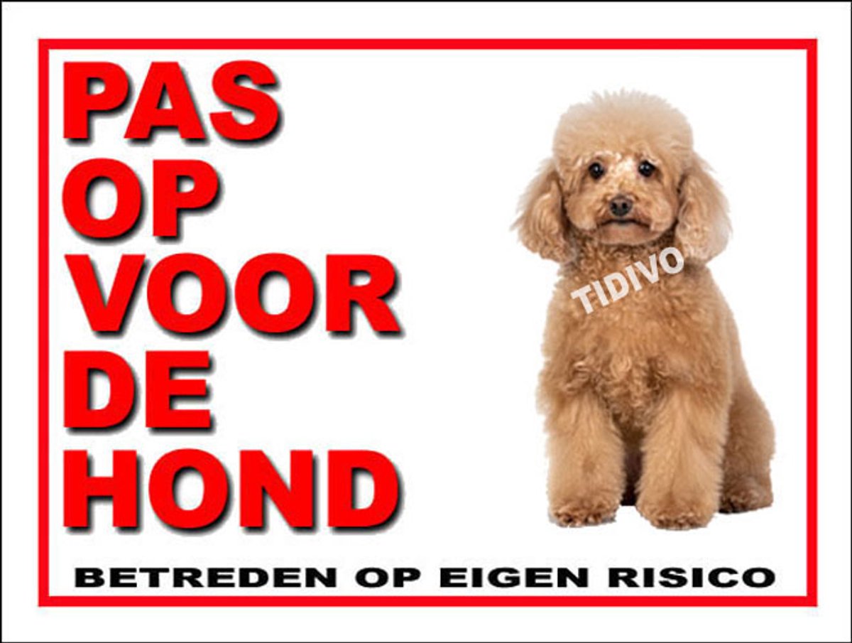 Toypoedel 13