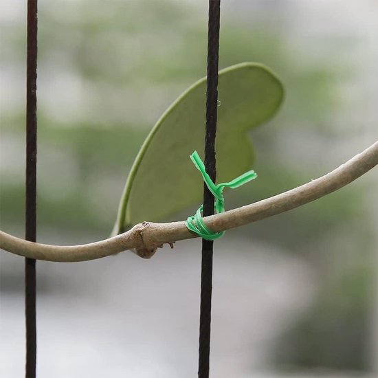 Allecto plus - Twist-stropdassen voor de tuin - Groen - Plantenondersteuning van Merkloos	 — afbeelding 5