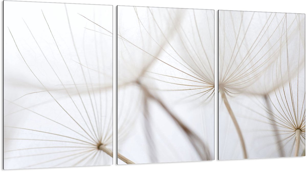 TMK ArtDeko Serie - Panbeschermer - 3x30x52 cm - Glas - Veiligheid