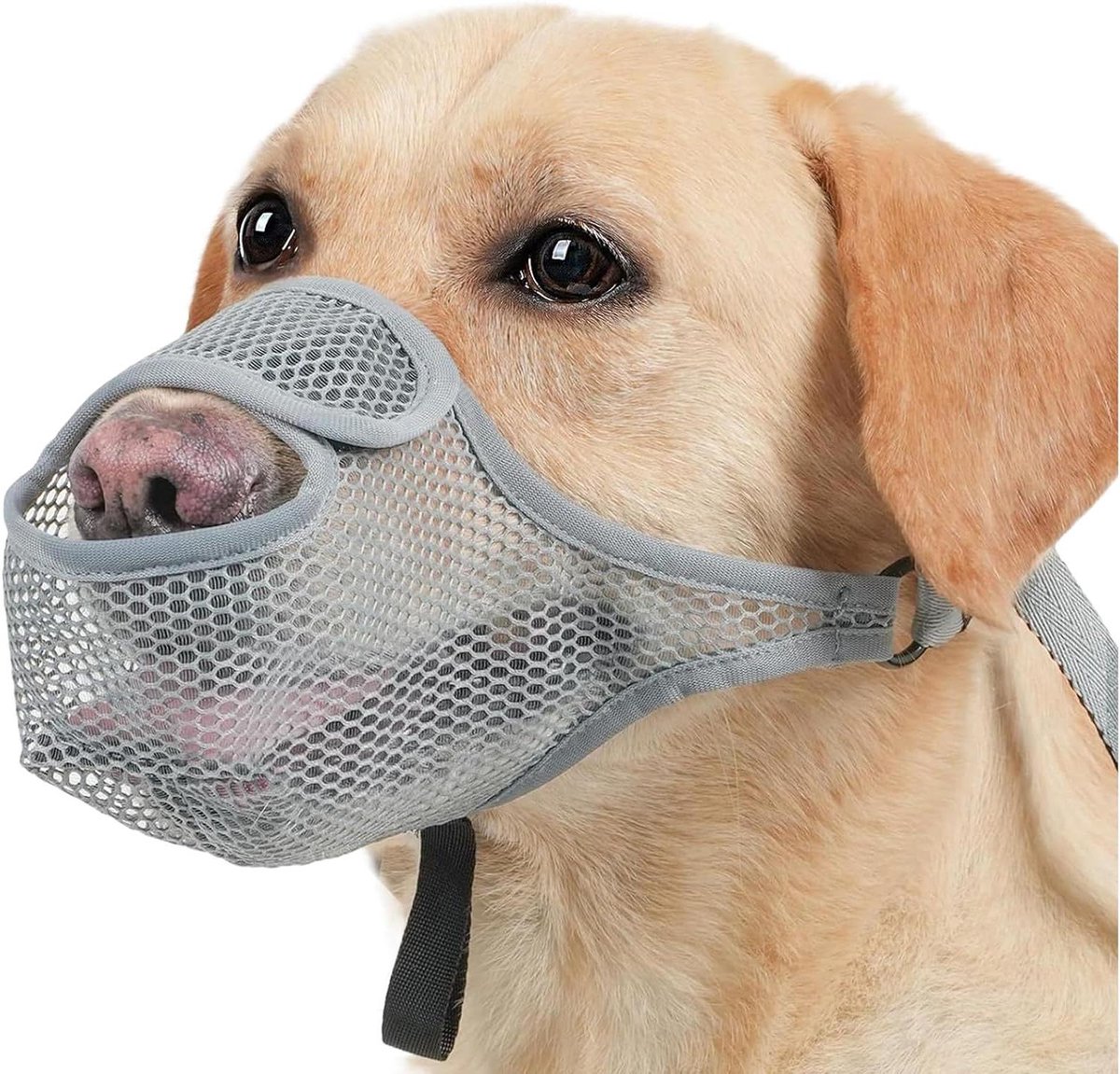 Honden Muilkorf - Snuitmasker Hond - Gedragsbeheersing Hond - Verbeterde Luchtstroom - Maat 2XL - Grijs