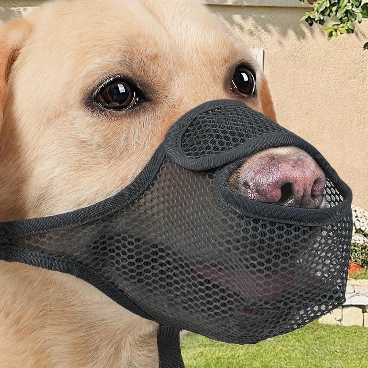 Honden Muilkorf - Hondensnuit Ademend - Gedragscontrole Hond - Optimale Luchtstroom - Maat XL - Zwart