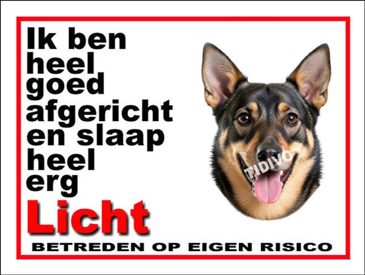 Västgötaspets 4