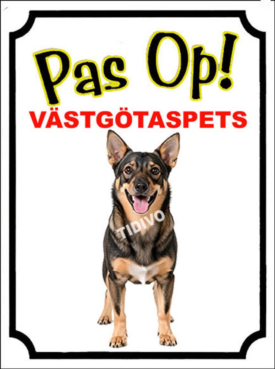 Västgötaspets 16