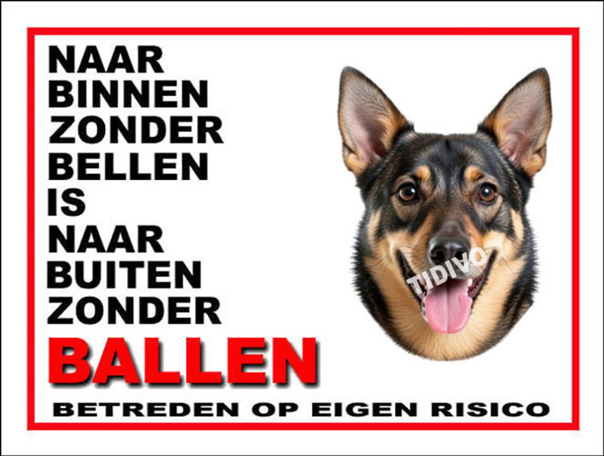 Västgötaspets 11