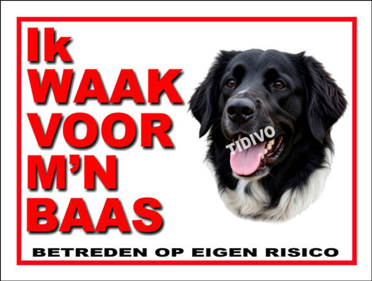 Stabijhound 9