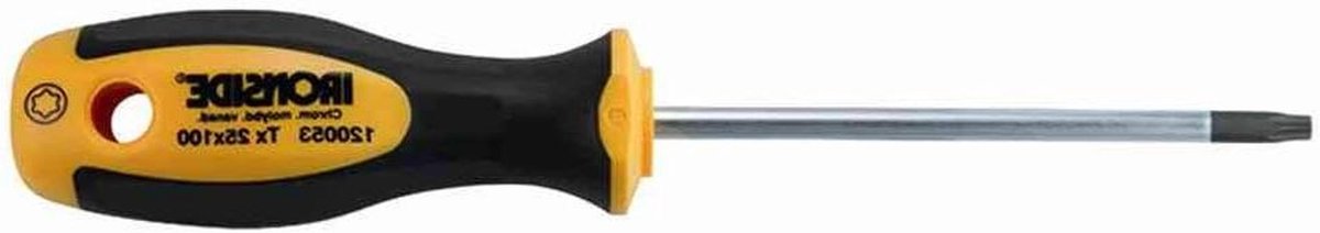 Schroevendraaier Torx - Gereedschap Bit - Klus Klussen - Magnetisch Uiteinde - T20 x100mm - Grijs