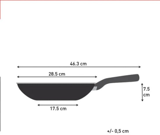 Tefal - So'Light - Wokpan - 28 cm - inductie