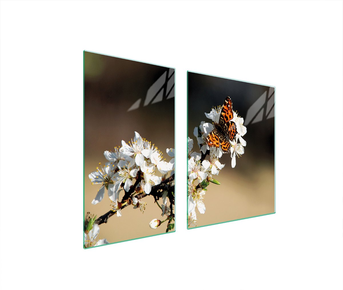 TMK ArtDeko - Snijplank Glas - 100x52cm - Slijm - Hittebestendig