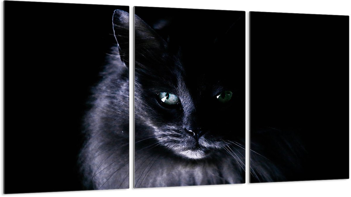 TMK ArtDeko - Glazen Beschermplaat - 30x52 cm - Snijplank - Spatbescherming
