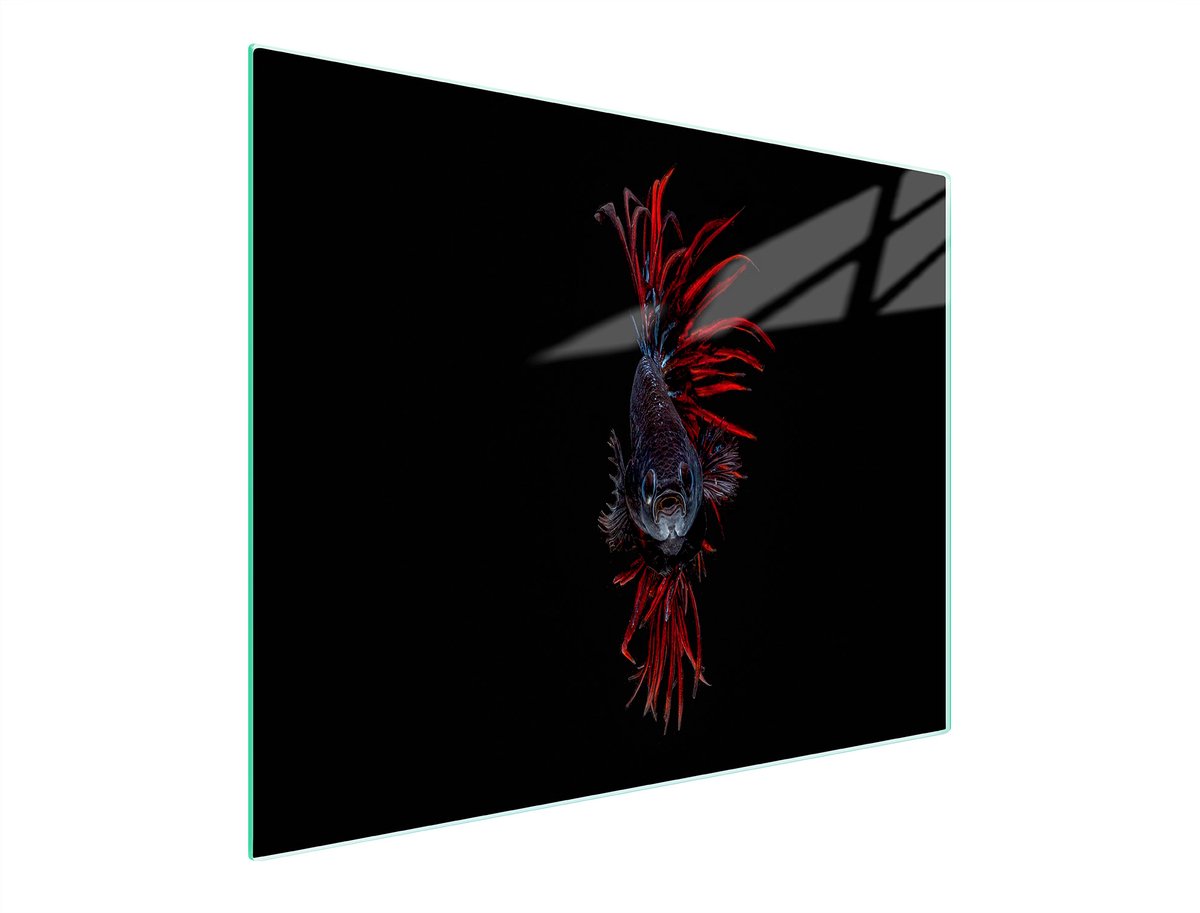 TMK ArtDeko Serie - Snijplank van Gehard Glas - 52x30 cm - Anti-slip - UV Print