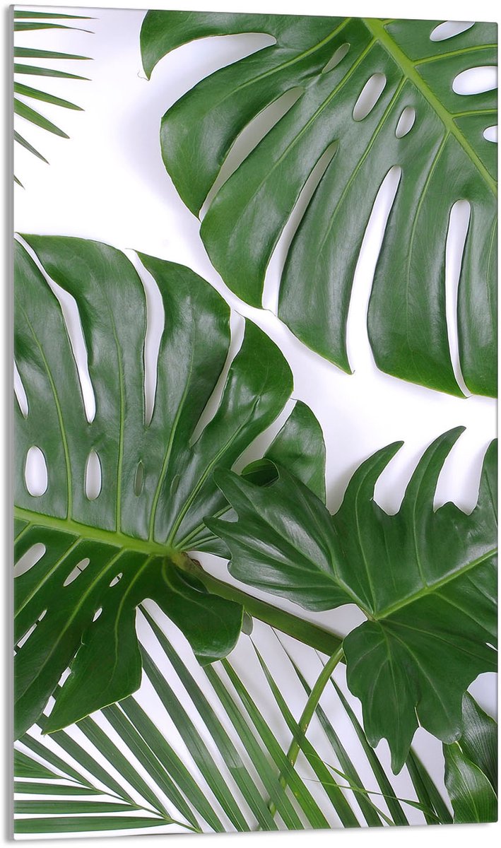 TMK ArtDeko Monstera - Snijplank - 30x52 cm - Beschermende Glasplaat - Veelzijdig Gebruik