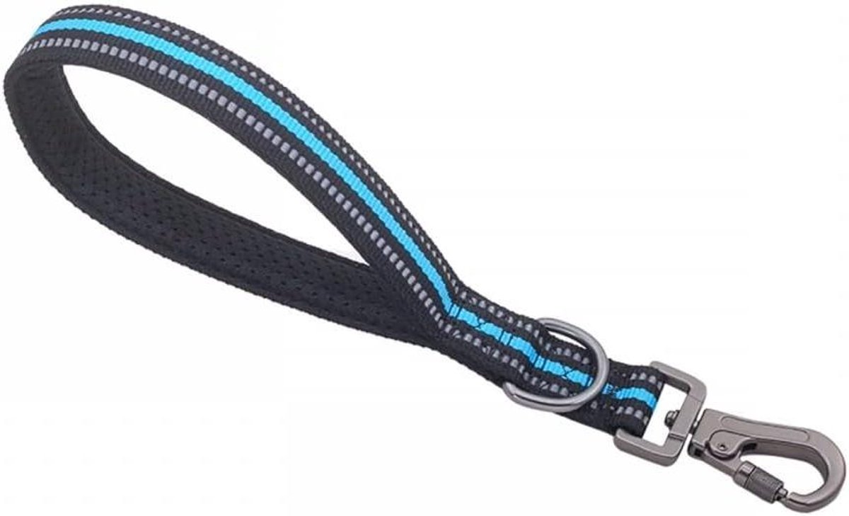 Korte Hondenriem - Hondenlijn Reflecterend - Hondentraining Controle - Met Reflecterende Draad - 32 cm - Blauw
