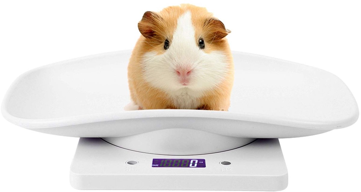 Dailygoody - Digitale Weegschaal - Gewichtmeting - Draagbaar en compact - 10kg/1g - Voor kleine huisdieren - Geschikt voor katten en honden