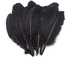 Zwarte veren voor ambachten, 120 stuks natuurlijke veren decoratie voor DIY-projecten, dromenvangers, sieraden en bruiloftsdecoratie, zacht en elegant.
