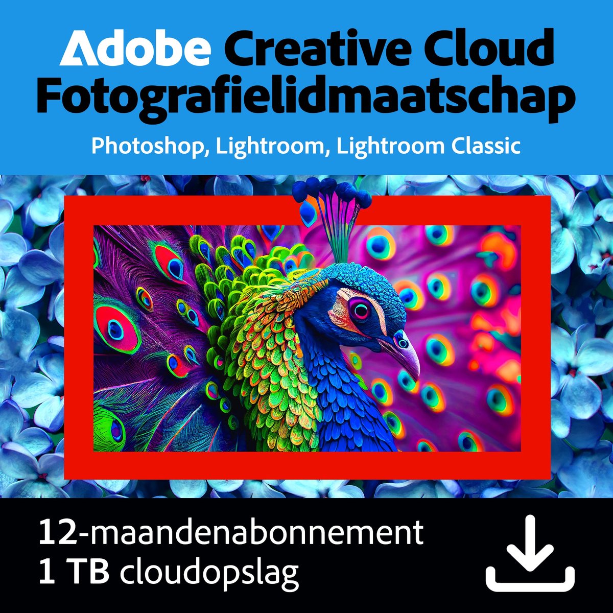 Adobe Creative Cloud Fotografie Plan - 1TB cloudopslag - 12 maanden/1 apparaat - Meertalig - PC/MAC Download