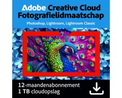 Adobe Creative Cloud Fotografie Plan - 1TB cloudopslag - 12 maanden/1 apparaat - Meertalig - PC/MAC Download
