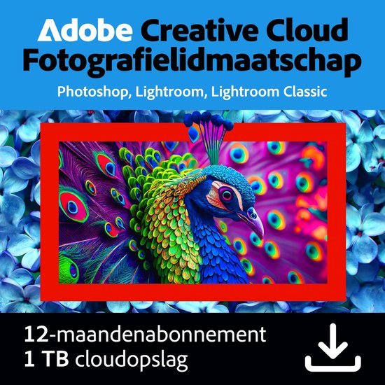 Adobe Creative Cloud Fotografie Plan - 1TB cloudopslag - 12 maanden/1 apparaat - Meertalig - PC/MAC Download