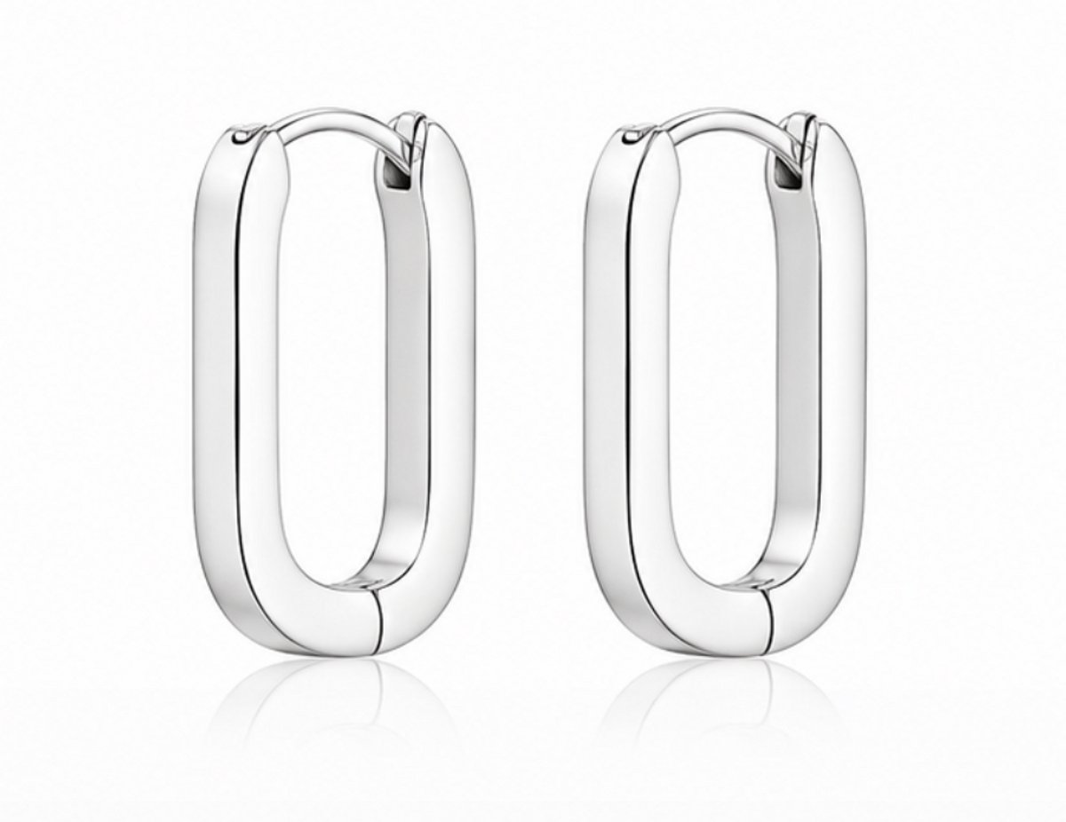 Oorbellen- Zilverkleurig - Verguld - Roestvrijstalen oorbellen - sieraden – Cadeau tip – Hip - Trendy