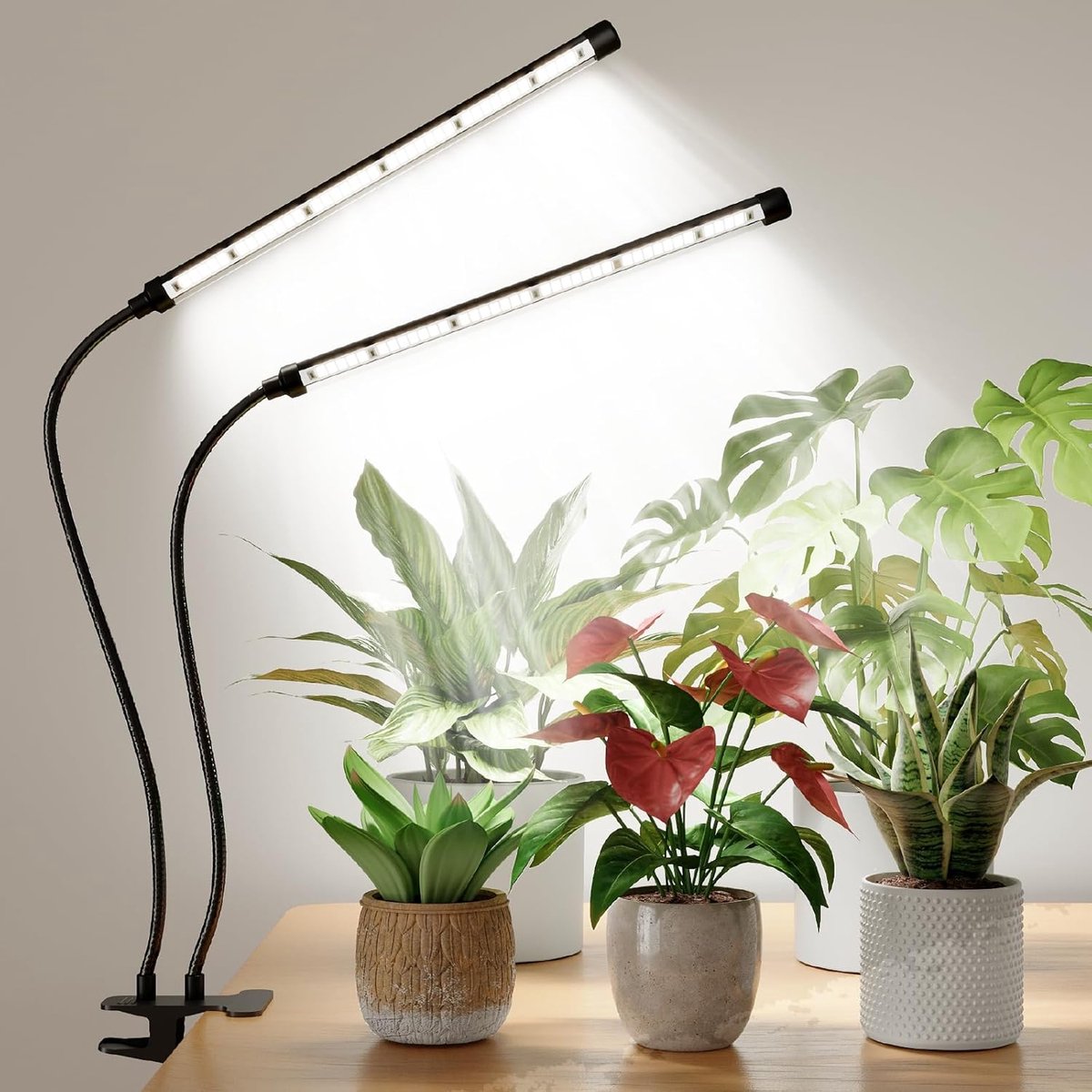 LED Plantlamp - Kweeklamp Binnen - Planten Groei Ondersteunen - Volledig Spectrum Licht - In Hoogte Verstelbaar - Wit