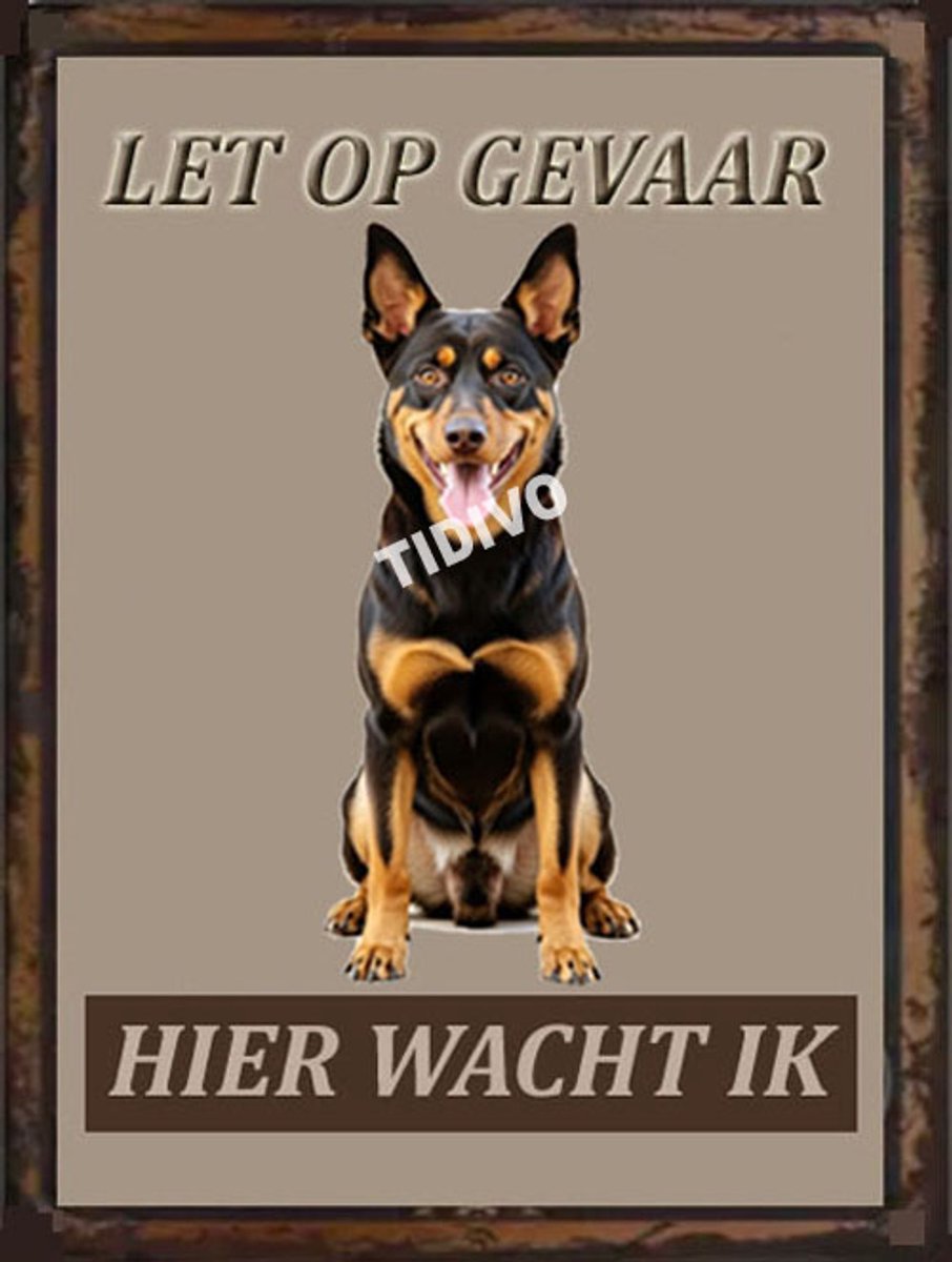 Australian Kelpie 18