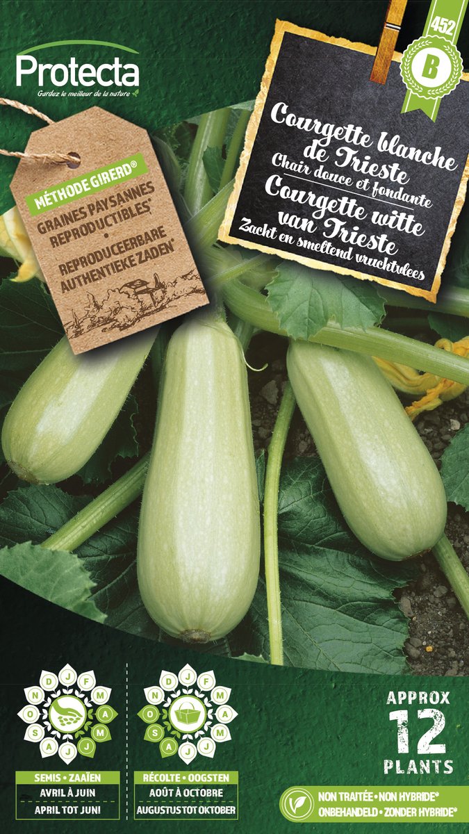 Courgette Witte van Trieste - pr452