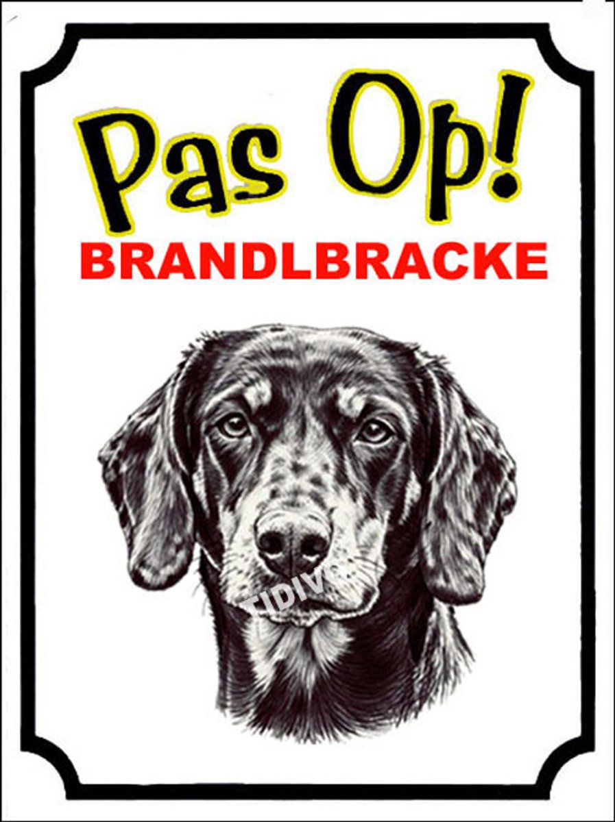 Brandlbracke 16