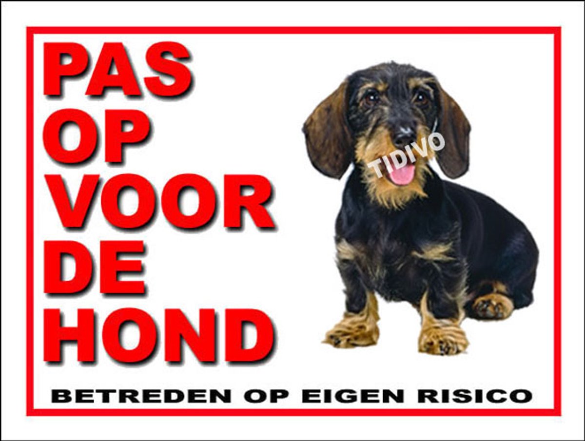 Dashond Dwerg, Ruwhaar 13