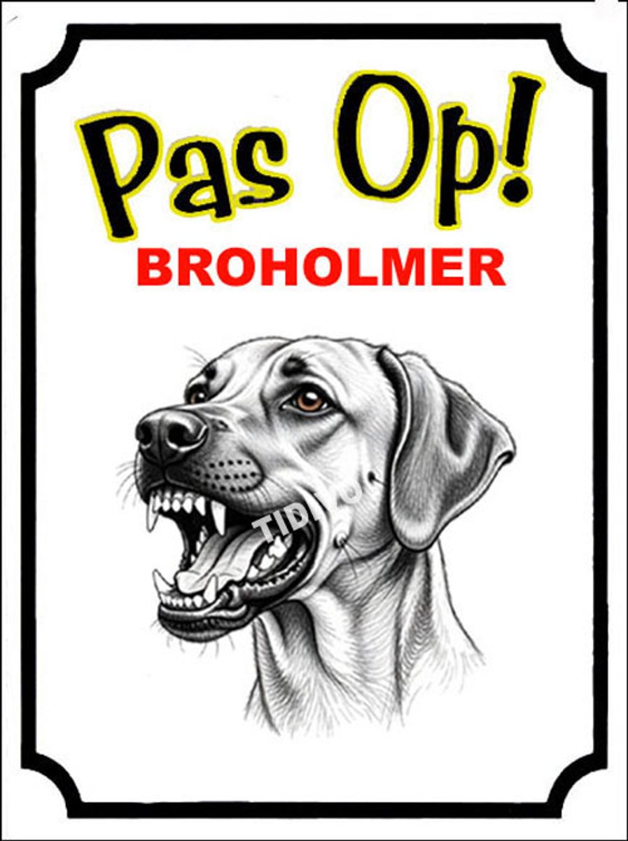 Broholmer 16