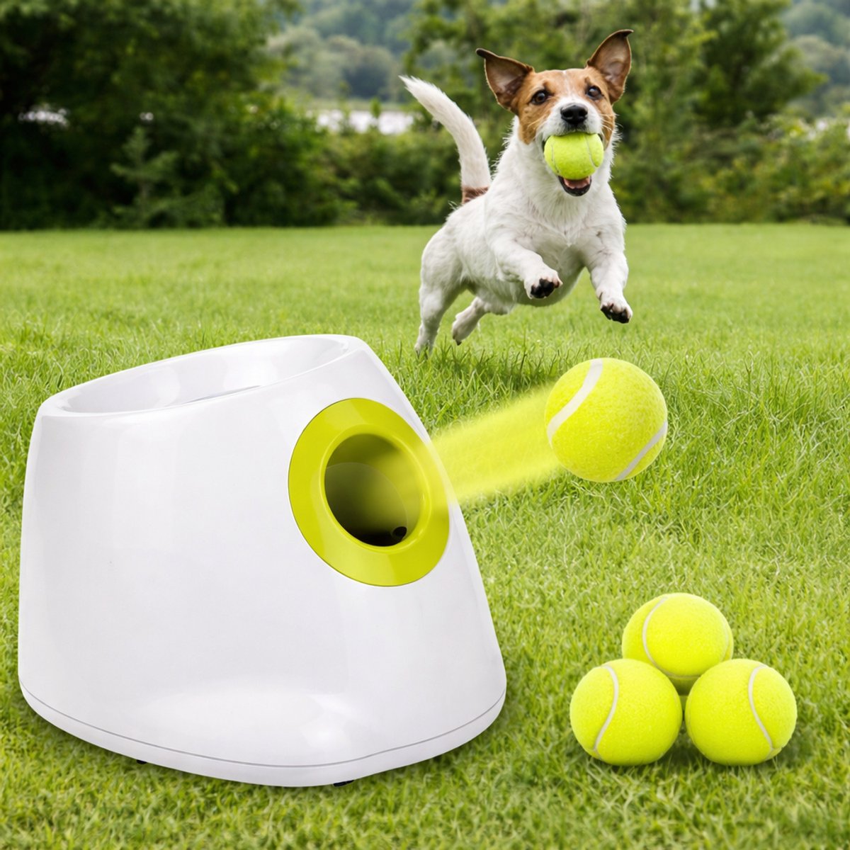 Trixie Werphengel/Ballenwerper Kleine Honden - Webshop voor dierenartikelen