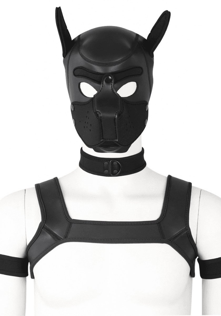 Pet play Deluxe 12 Delige Dog Puppy Set - Roleplay - kinky - luxe set - kwaliteits set - kinky - Zwart - Woeefff — cadeau in Cadeau-ideeën - foto 3