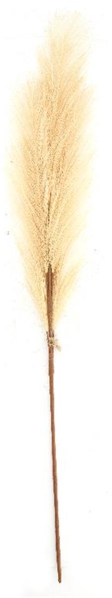 Kunstbloem Pluim 77x8x3cm beige