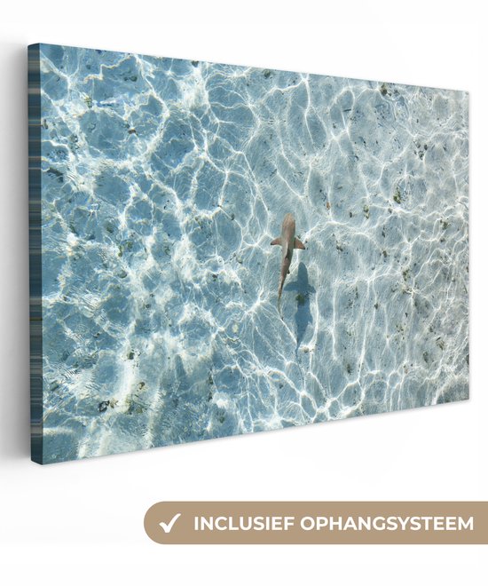 Gedetailleerd canvas met een haai in helder water, inclusief ophangsysteem.