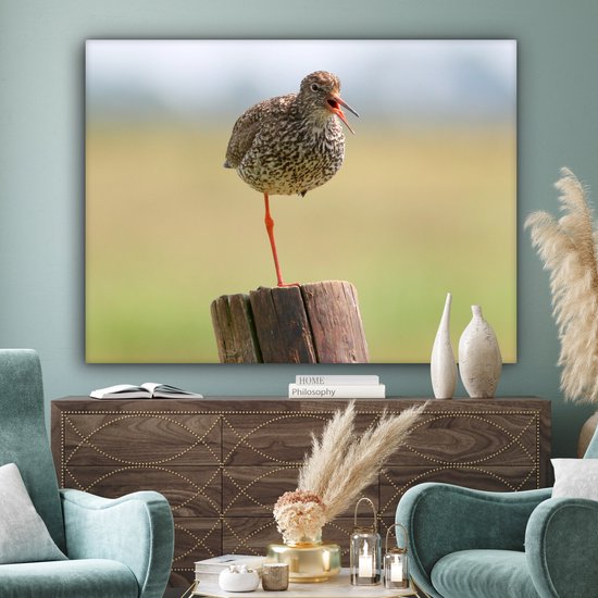 Redshank debout sur une jambe Toile 160x120 cm - Tirage photo sur toile (Décoration murale salon / chambre) XXL / Groot format!