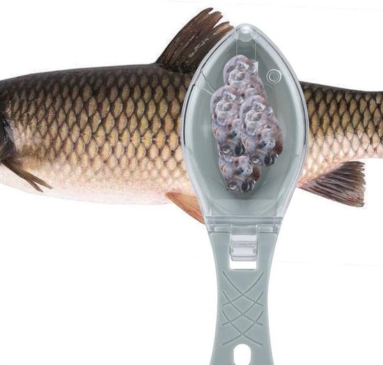 2 stuks Fish Scaler Remover Tools, Fish Skin Graters Reiniging Peeler Scaler Scraper, Snelle Fish Scale Remover, Snelle verwijderen Fish Scale voor Keuken Fish Reiniging Tools (Blauw + Groen) van Merkloos — afbeelding 2