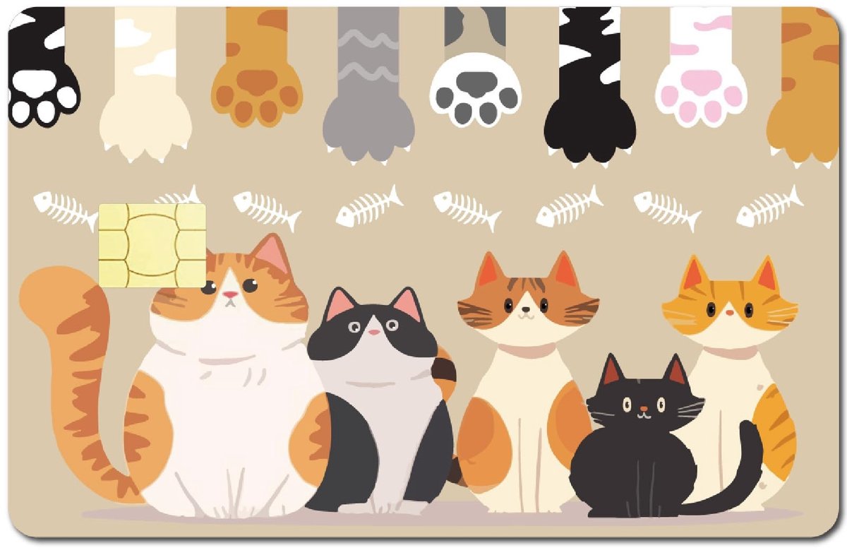 aladdien - Kat Creditcard Skin - Waterdichte Sticker - Beschermend en Verwijderbaar - 17,3 x 13,4 cm - Persoonlijke Decoratie - Voor Bankkaarten