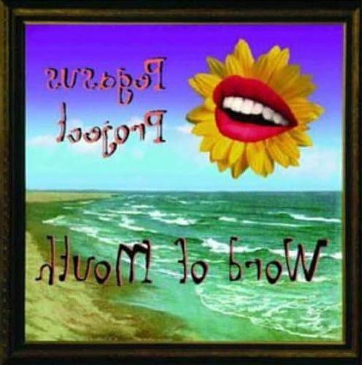 Muziek Album - Audio CD - Muziek Luisteren - Standaard Formaat - 14 cm - Niet gespecificeerd