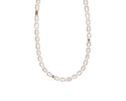 Ava&Imber Parelketting Goud | Originele Zoetwaterparels Ketting voor Vrouwen, Gemaakt met Gouden Stainless Steel (RVS) in Cadeauverpakking