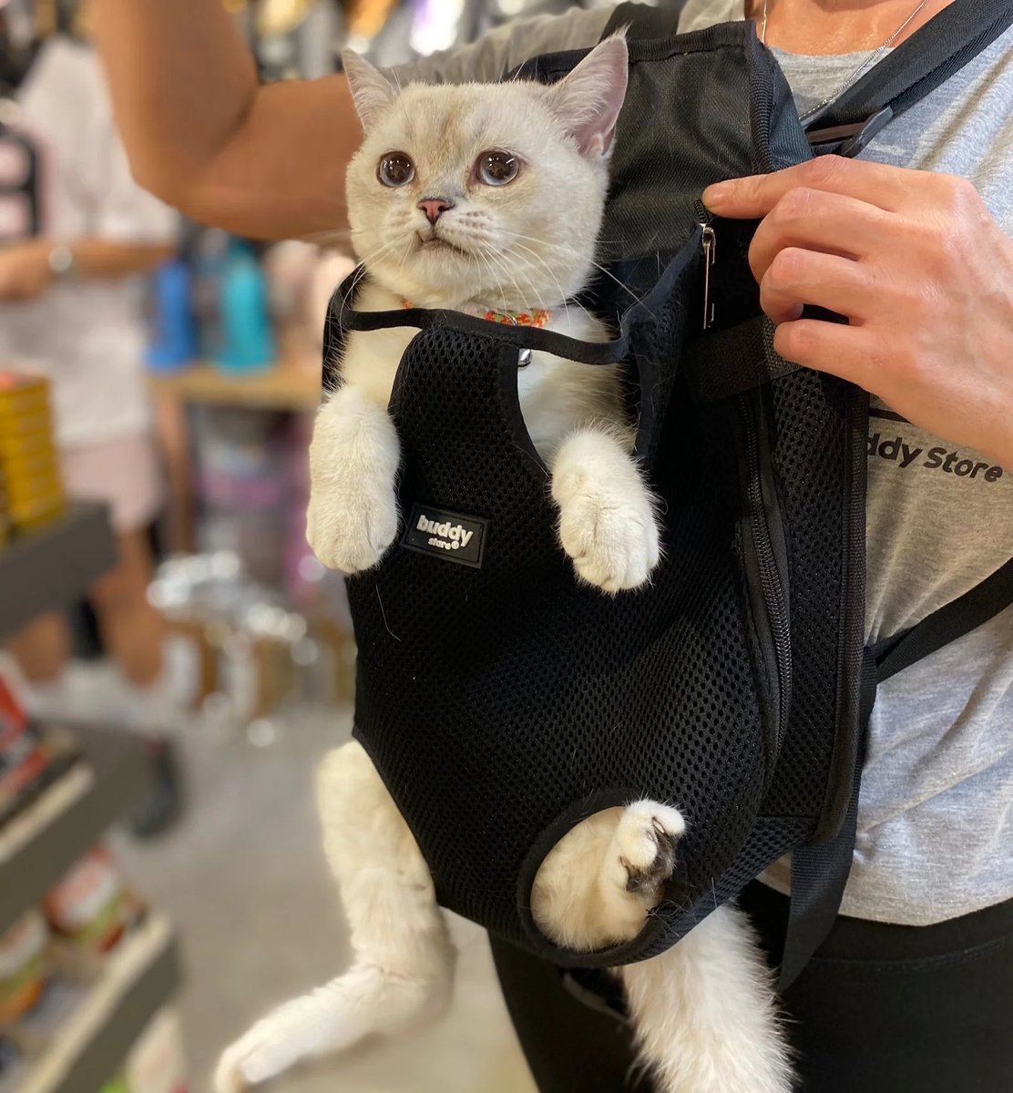 Hondenrugzak Draagtas voor Honden en Katten - Ideaal voor Fietsen, Wandelen en Reizen