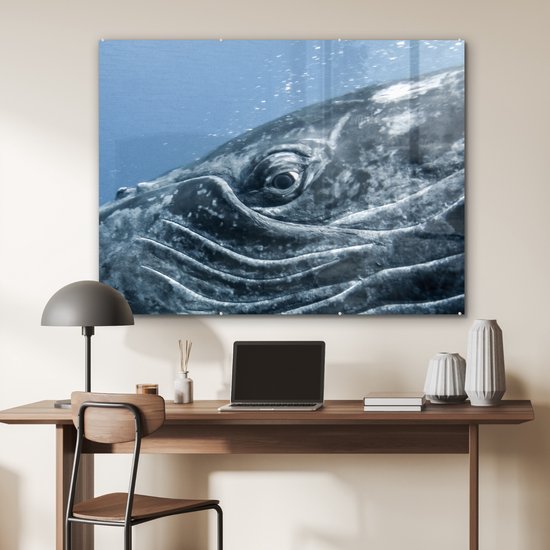 MuchoWow® Peinture sur verre 120x90 cm - Peinture sur verre acrylique - Water - Animaux - Baleine à bosse - Photo sur verre - Peintures