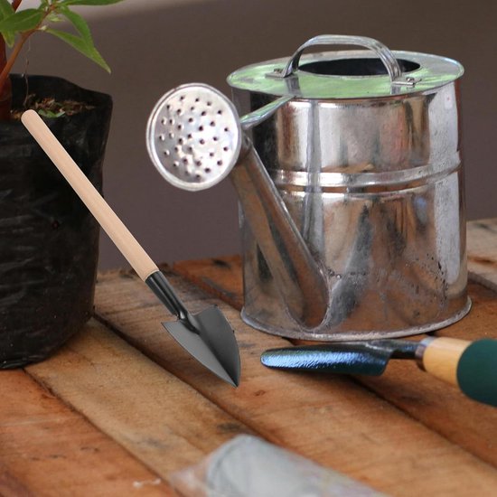 Mini Tuingereedschap Set - Kleine Handgereedschap - Planten Verzorgen - Ergonomische Houten Handgrepen - 10 Delig - Zwart van MINI — afbeelding 3