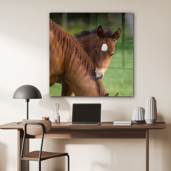 ® Glasschilderij 90x90 cm - Schilderij acrylglas - Paarden - Gras - Portret - Foto op glas - Muurdecoratie woonkamer - Wanddecoratie slaapkamer - Schilderijen