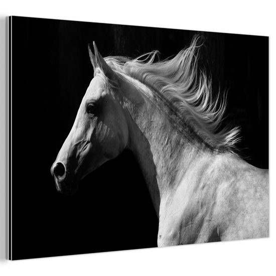 Décoration murale Métal - Peinture Aluminium Industrielle - Paarden - Animaux - Portrait - 150x100 cm - Dibond - Photo sur aluminium - Décoration murale industrielle - Pour le salon/chambre