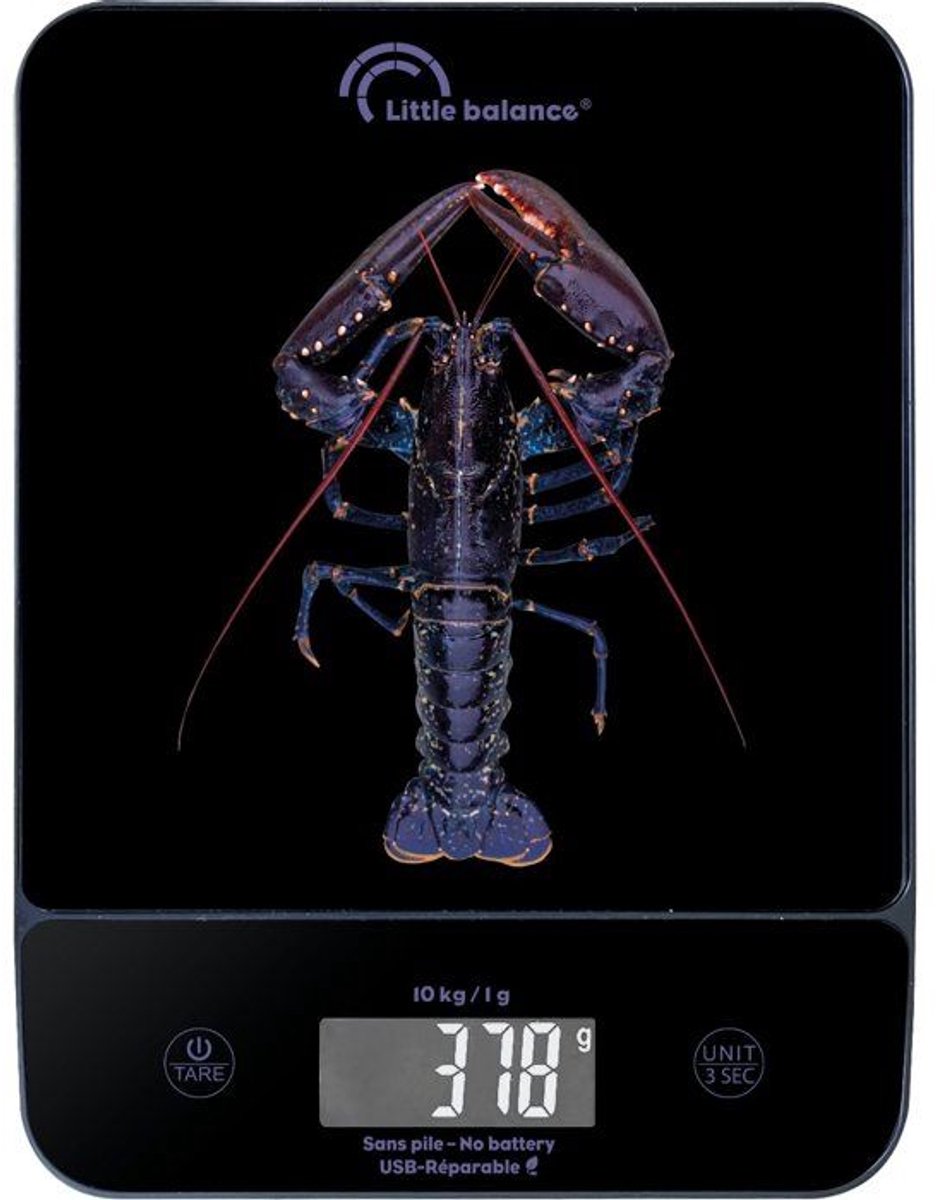 Keukenweegschaal - LITTLE BALANCE - 8710 - Happy Genius 10 - USB - Batterijloos - Blue Lobster