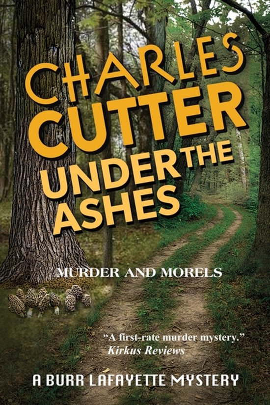 A Burr Lafayette Mystery- Under the Ashes - cover